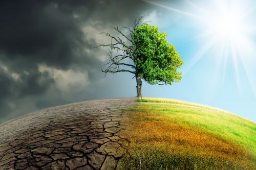 Évolution des risques climatiques : bientôt un diagnostic de résilience du bâti ?